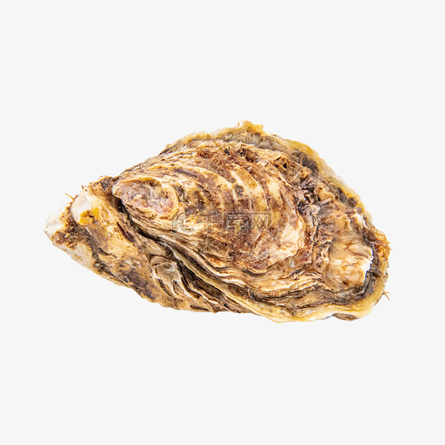 海鲜生蚝牡蛎