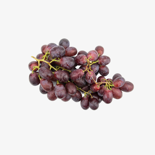 红提提子葡萄
