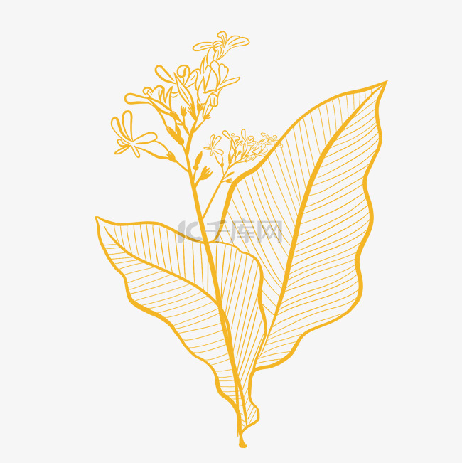 金粉烫金花朵植物