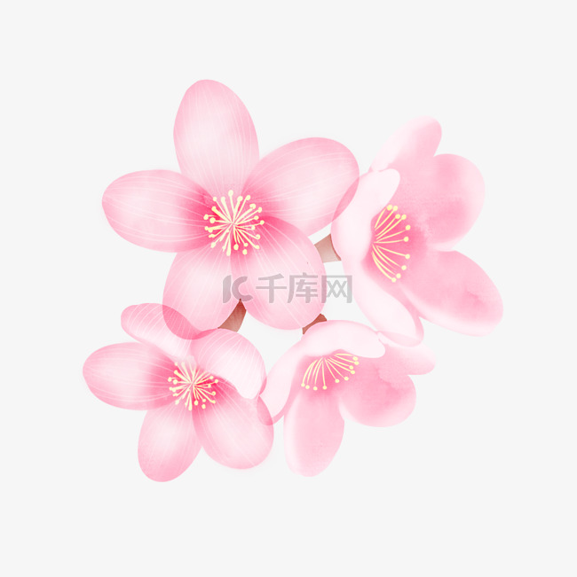 水彩粉色桃花