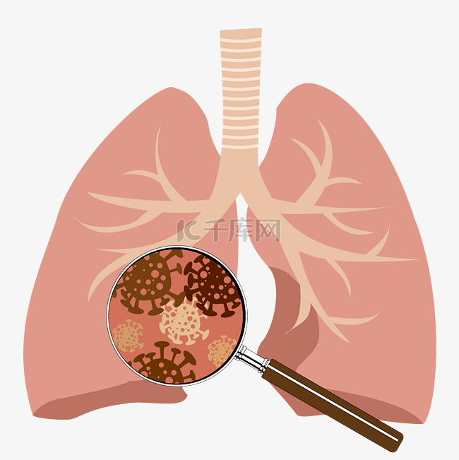 矢量感染肺部发现病毒