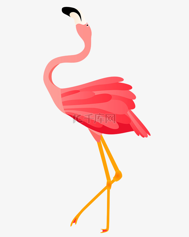粉色火烈鸟