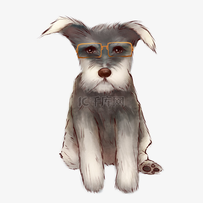 宠物犬雪纳瑞戴眼镜的小狗