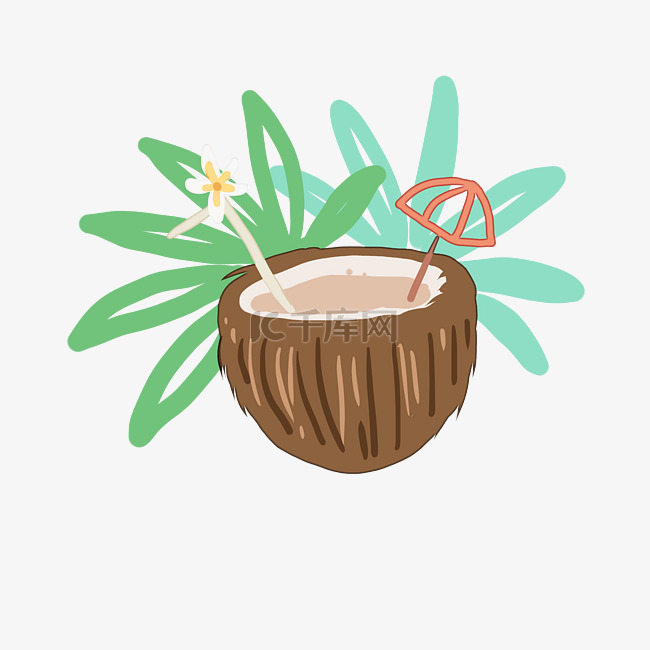 棕色的椰子