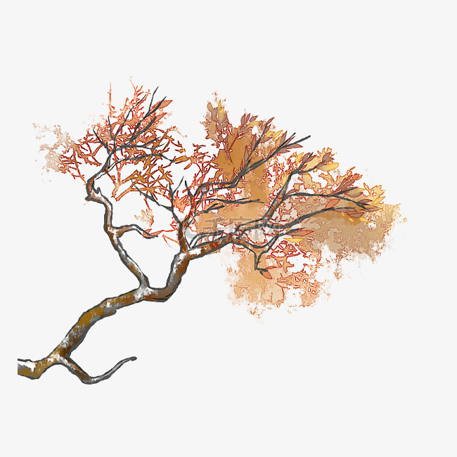 秋天中国风水墨水彩树木