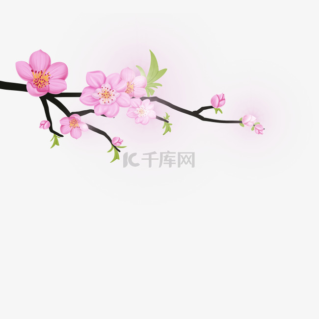 中国春天粉红色鲜花绿叶分支机构
