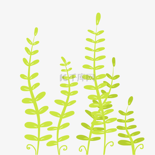 卡通绿色植物藤蔓