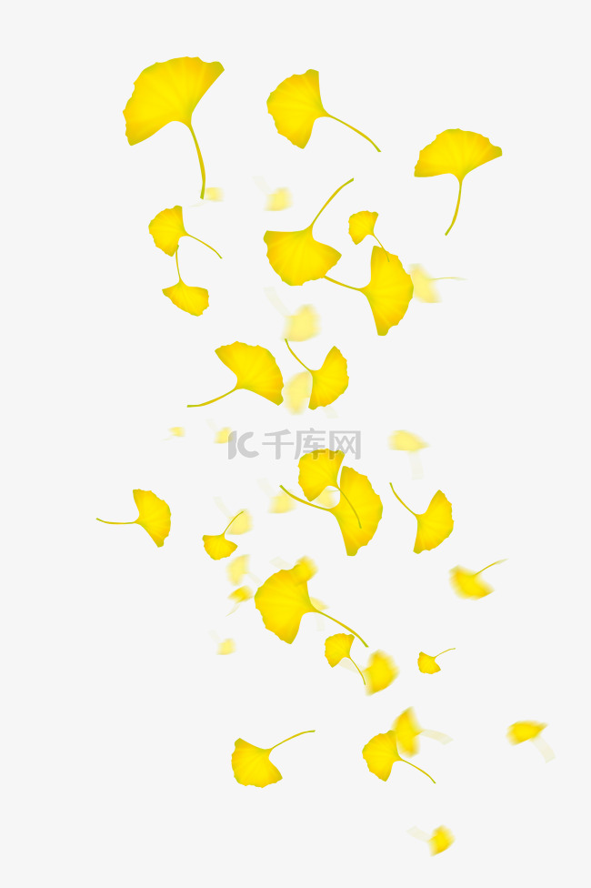 黄色飘落树叶