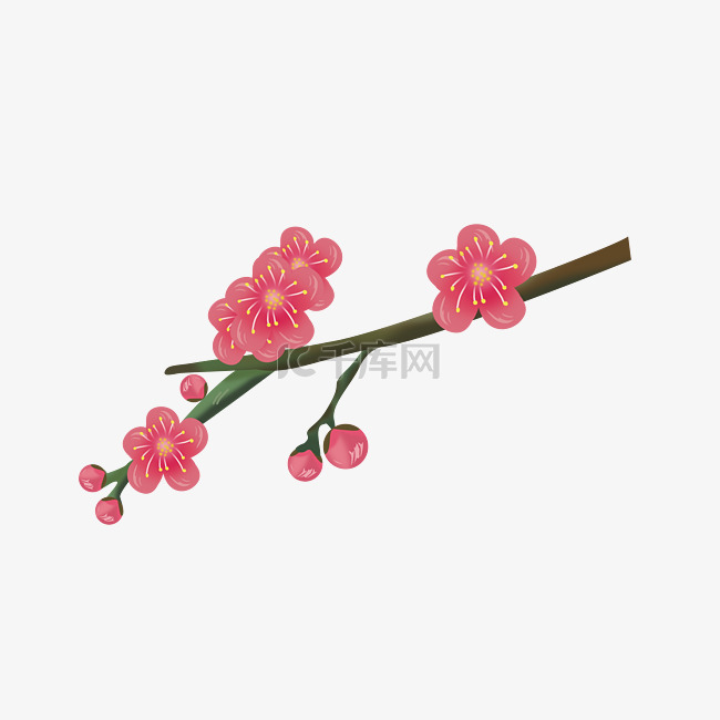 漂亮的粉色樱花插画