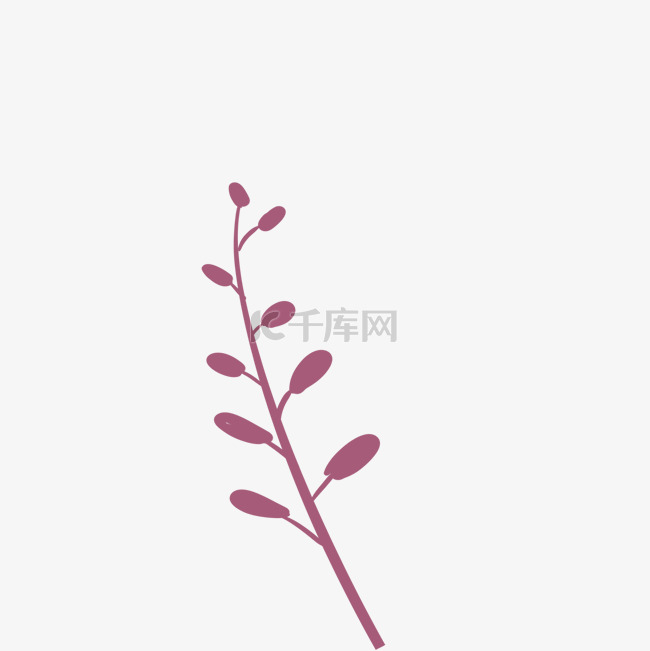 红色的植物免抠图