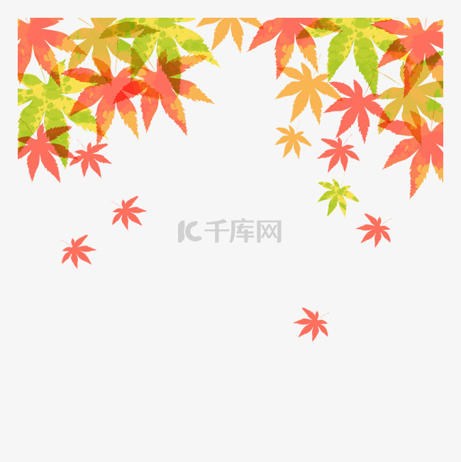 秋天黄色枫叶背景立秋节气