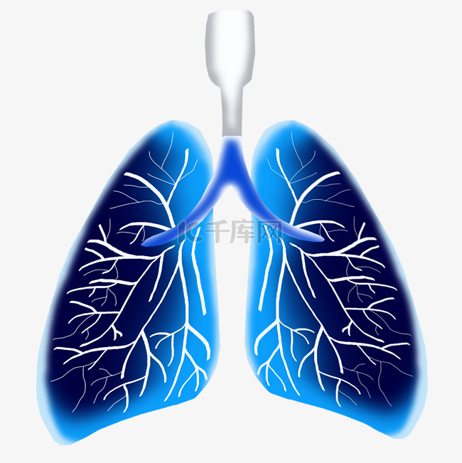 蓝色器官肺部