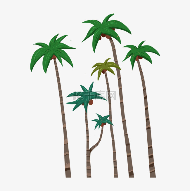 沙滩热带植物