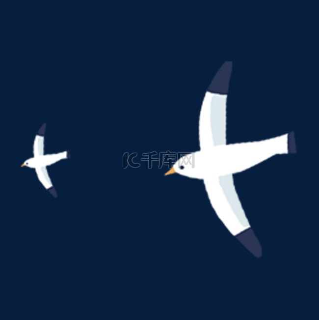 海鸥海鸟