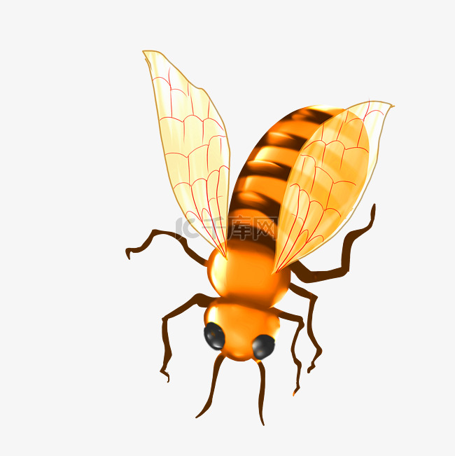 写实蜜蜂昆虫