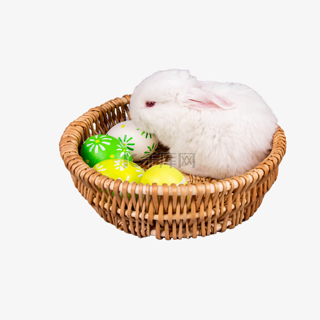 复活节节日彩蛋小白兔