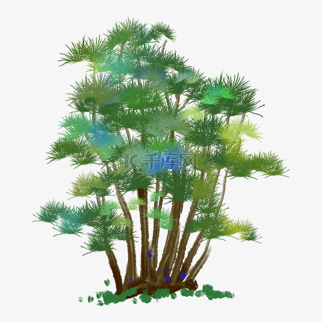 绿色的松树小树插画
