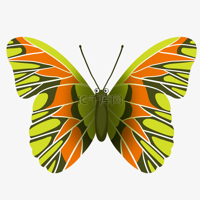 唯美绿色蝴蝶插图