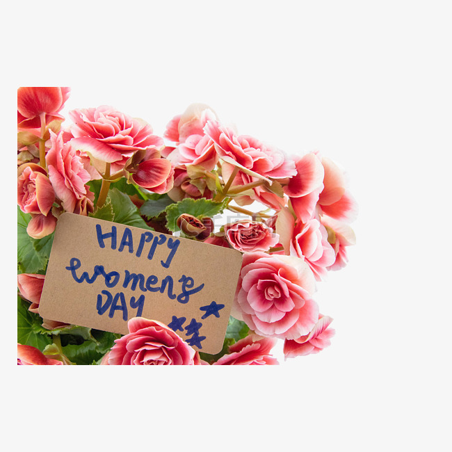 粉红色花朵妇女节卡片
