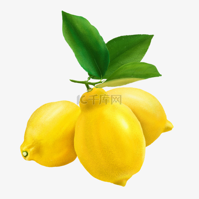 手绘秋冬水果之柠檬