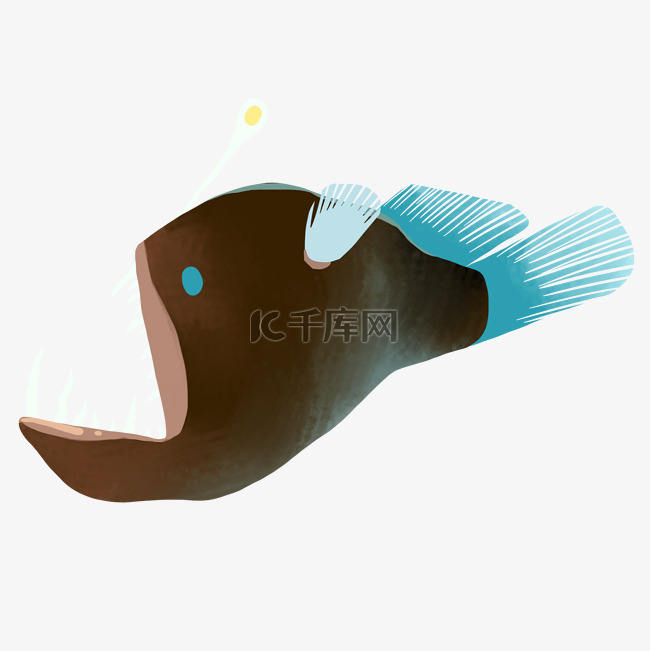 海洋生物海鱼