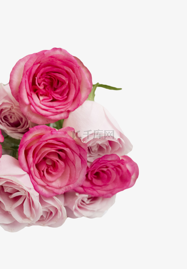 多瓣玫瑰鲜花花束粉色