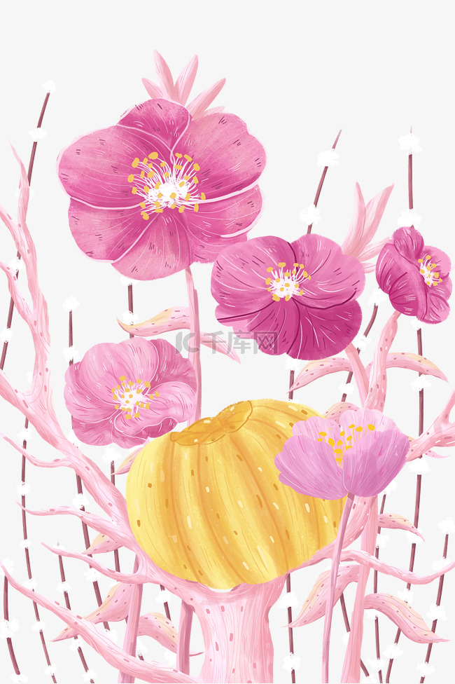 粉色花朵花卉南瓜