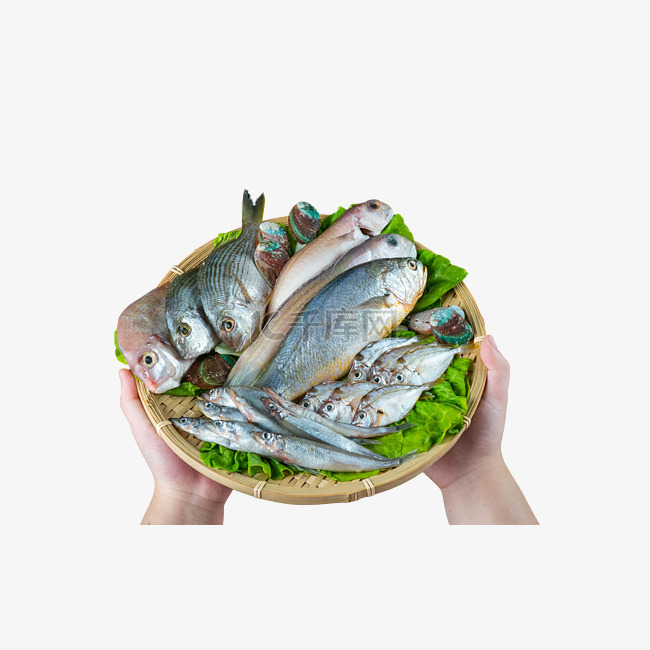 一盘海鲜生鲜水产鱼