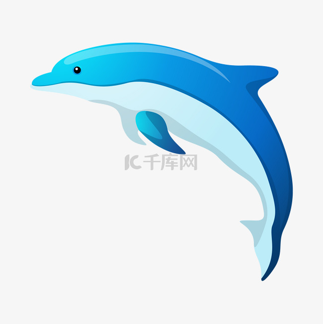 蓝色生物海豚