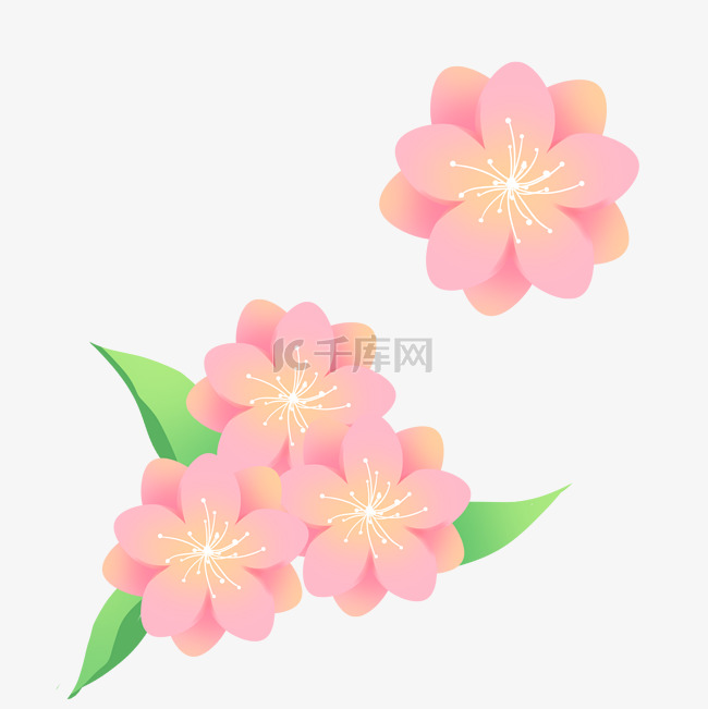 春天桃花花开