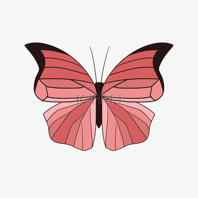 红色黑边蝴蝶插图