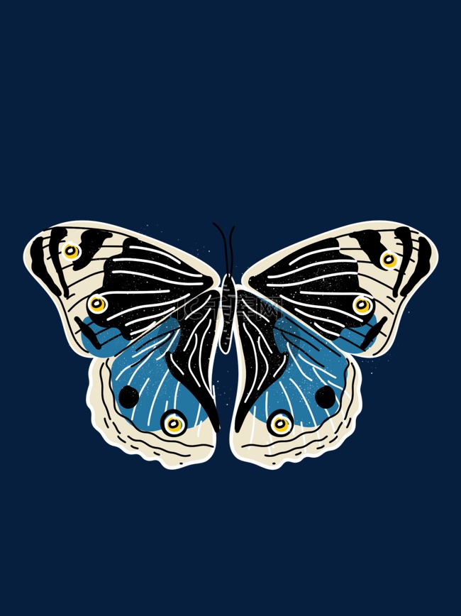 蓝色蝴蝶标本扁平矢量图