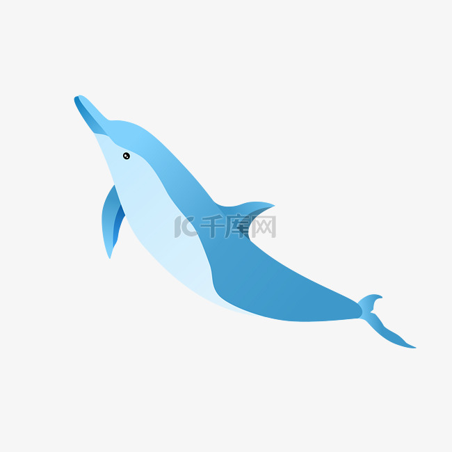 一条蓝色海豚