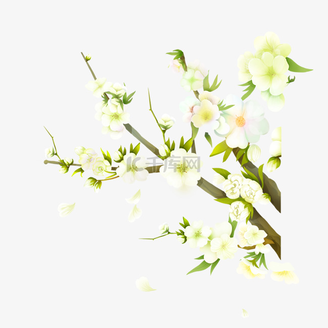 白色梨树