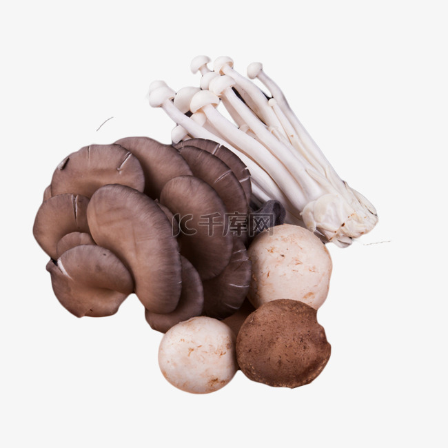 金针菇平菇香菇