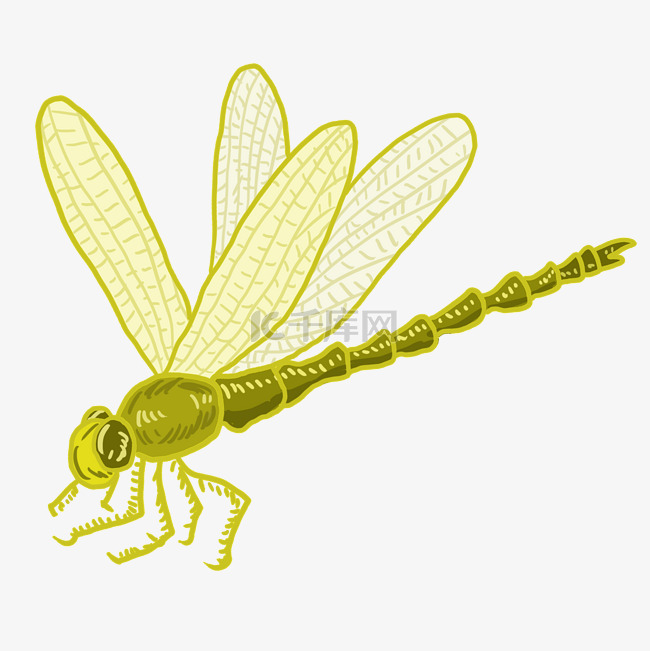 黄色蜻蜓图案