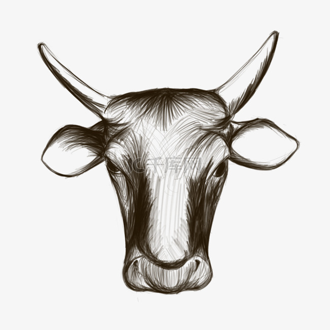 牛年线描牛头