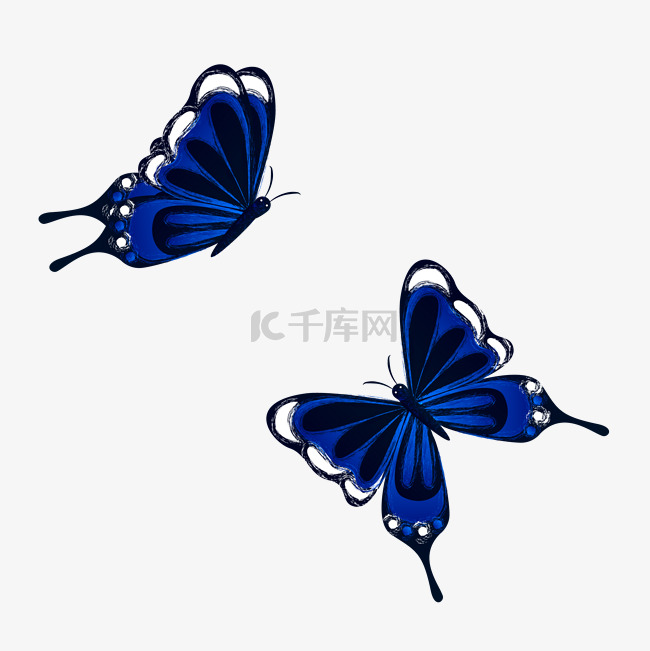 昆虫紫色蝴蝶
