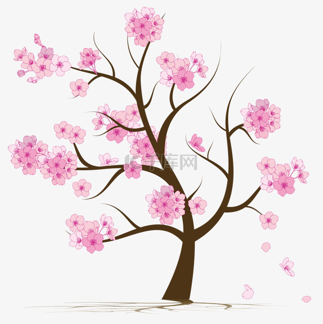 樱花树粉色樱花