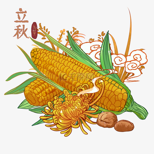 立秋玉米中国风