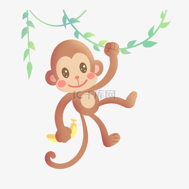 可爱动物猴子