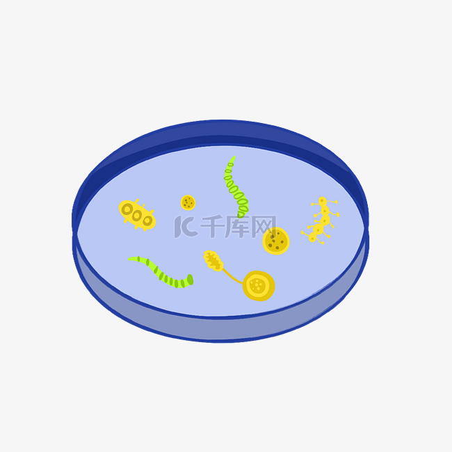 蓝色盘子细菌插图