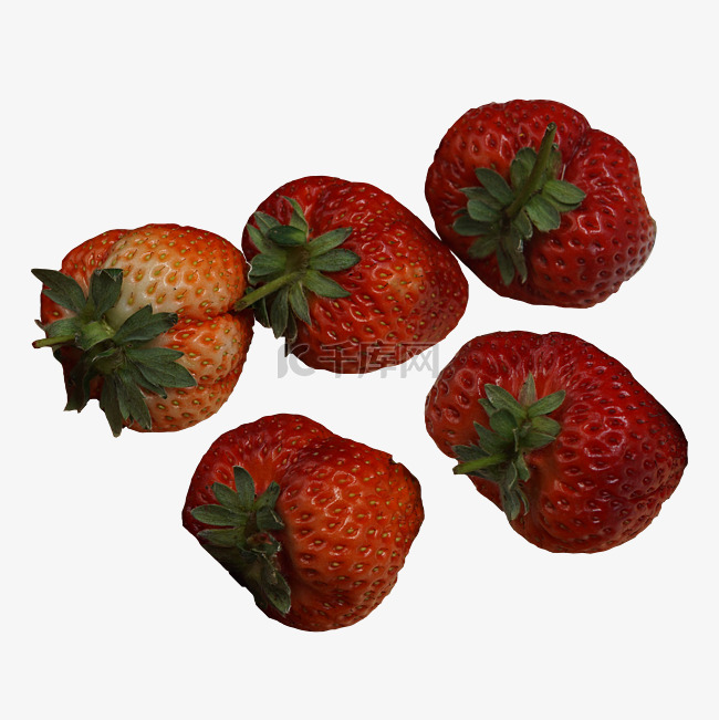 水果大草莓