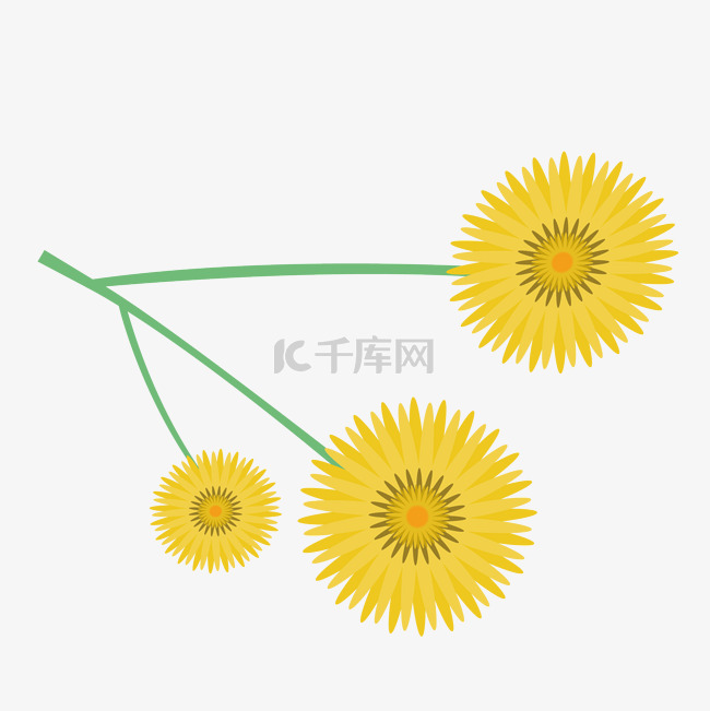 菊花黄色小邹菊太阳花