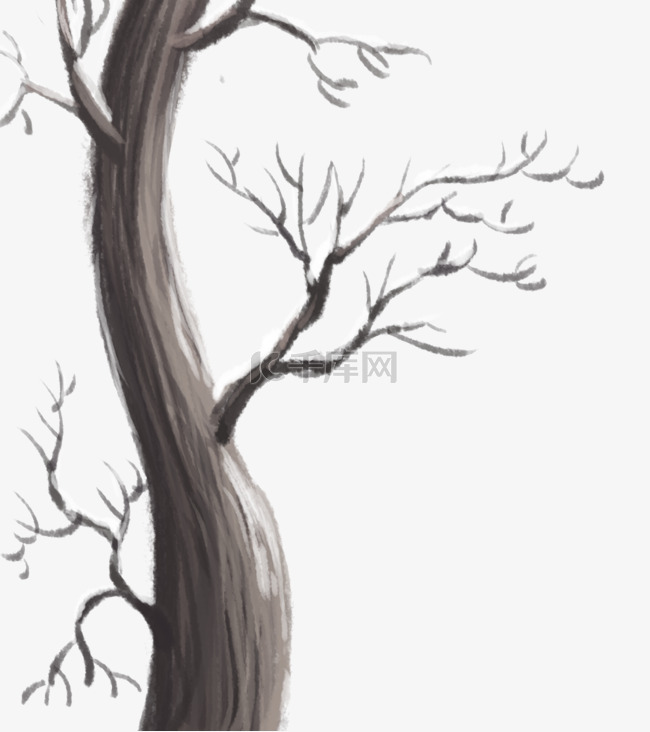 冬季枯树树枝