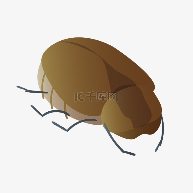 一只棕色虫子