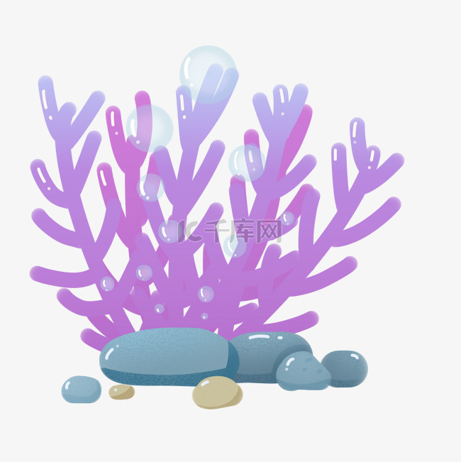 紫色珊瑚装饰
