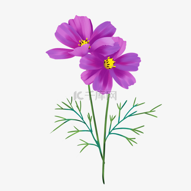 精美紫色花草