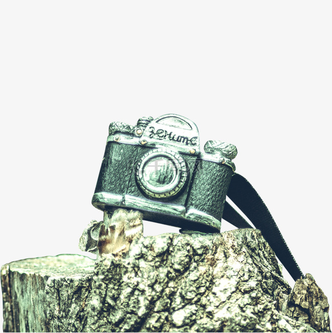 树桩上的照相机