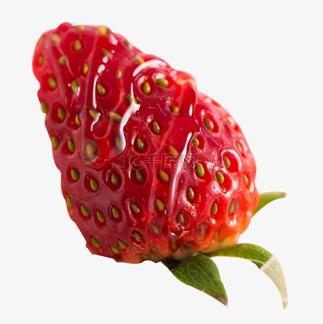 实拍园地种植饭后水果草莓